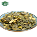 China top seller export pumpkin seeds kernel